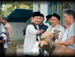 Idul Adha 1445 Hijriyah, Arie Septia Adinata, SE., MAP Serahkan 2 Ekor Sapi Qurban